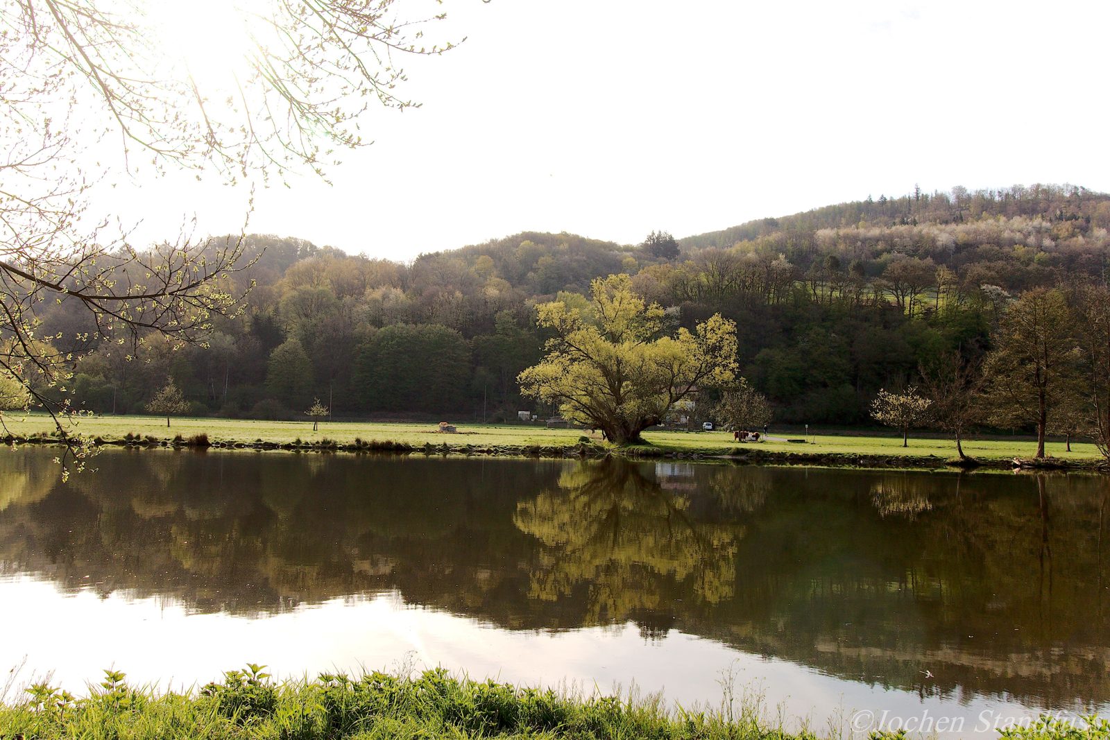 Lahn bei Dausenau mit alter Weide, die sich im Wasser spiegelt, am Brückenrundweg