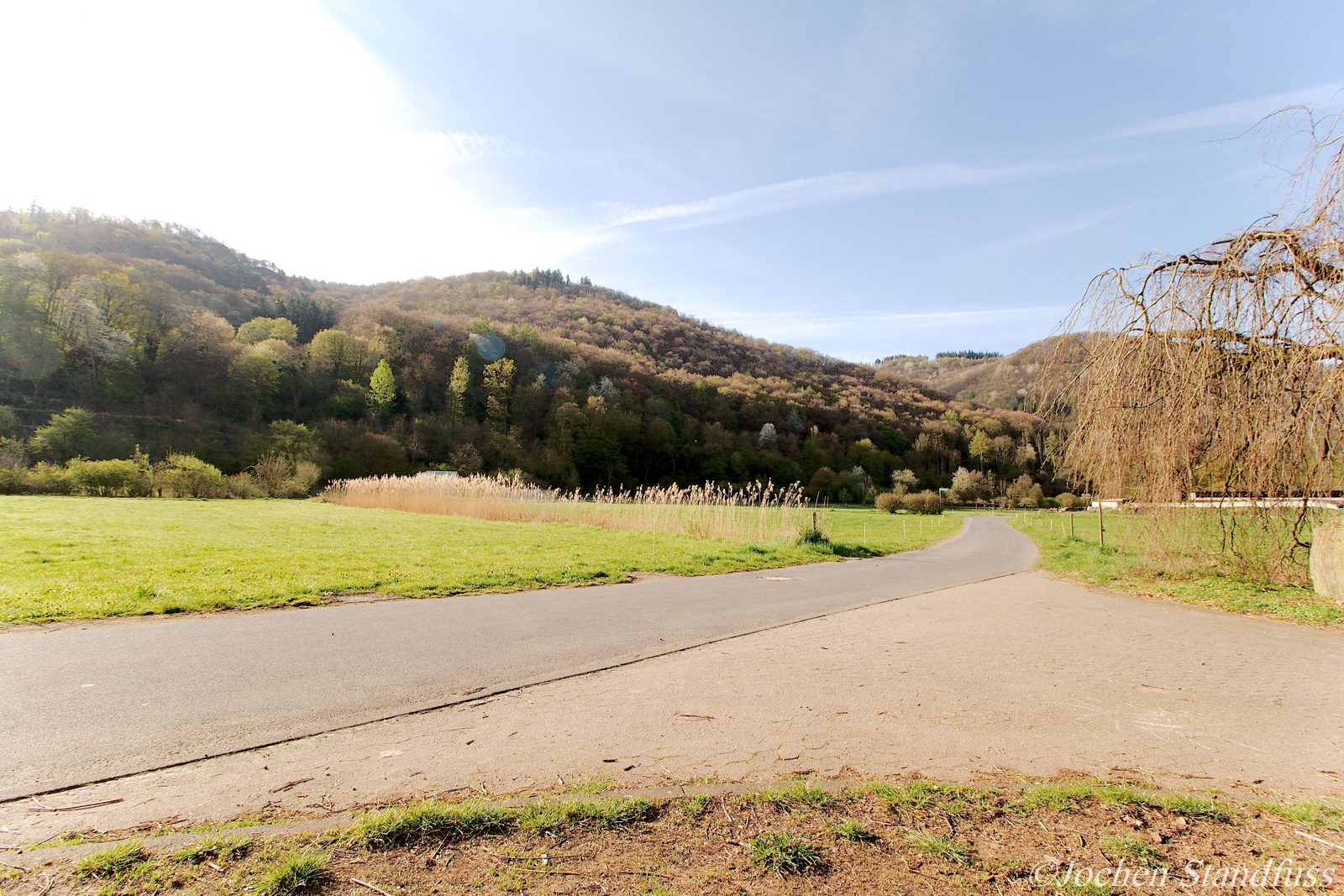 Weg am Lahnufer bei Dausenau Richtung Bad Ems, Wiesen und bewaldete Hänge