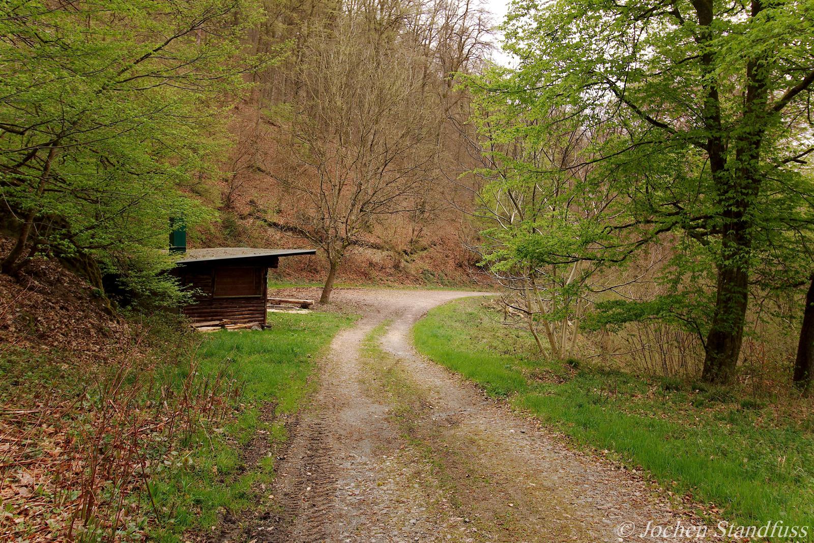 Heidkopfhütte mit Grillplatz in einer Waldlichtung oberhalb von Dausenau