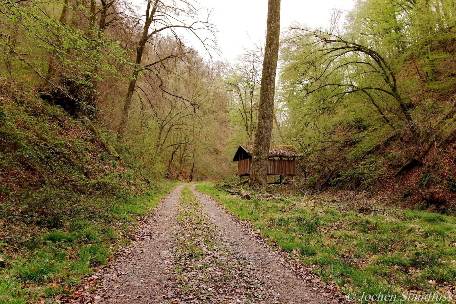 Waldweg im Unterbachtal bei Dausenau mit kleiner Schutzhütte, Heidkopfhüttenweg