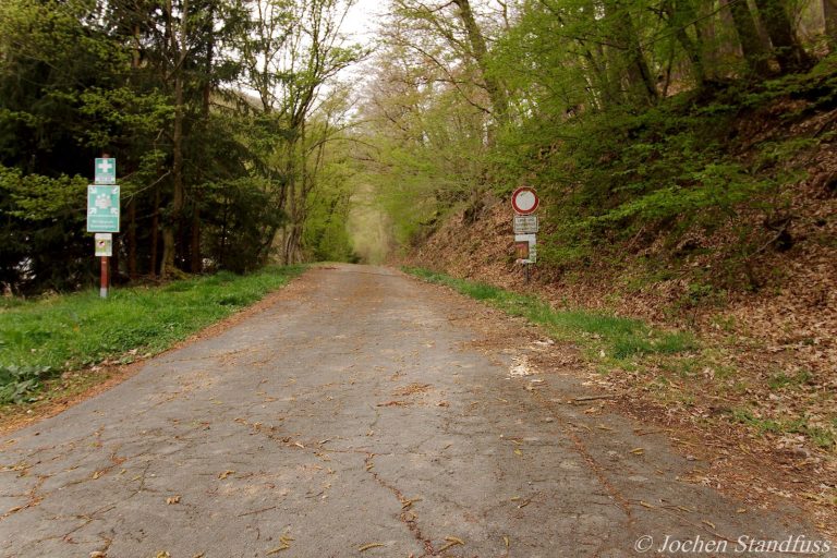 Waldweg am Ortsrand von Dausenau