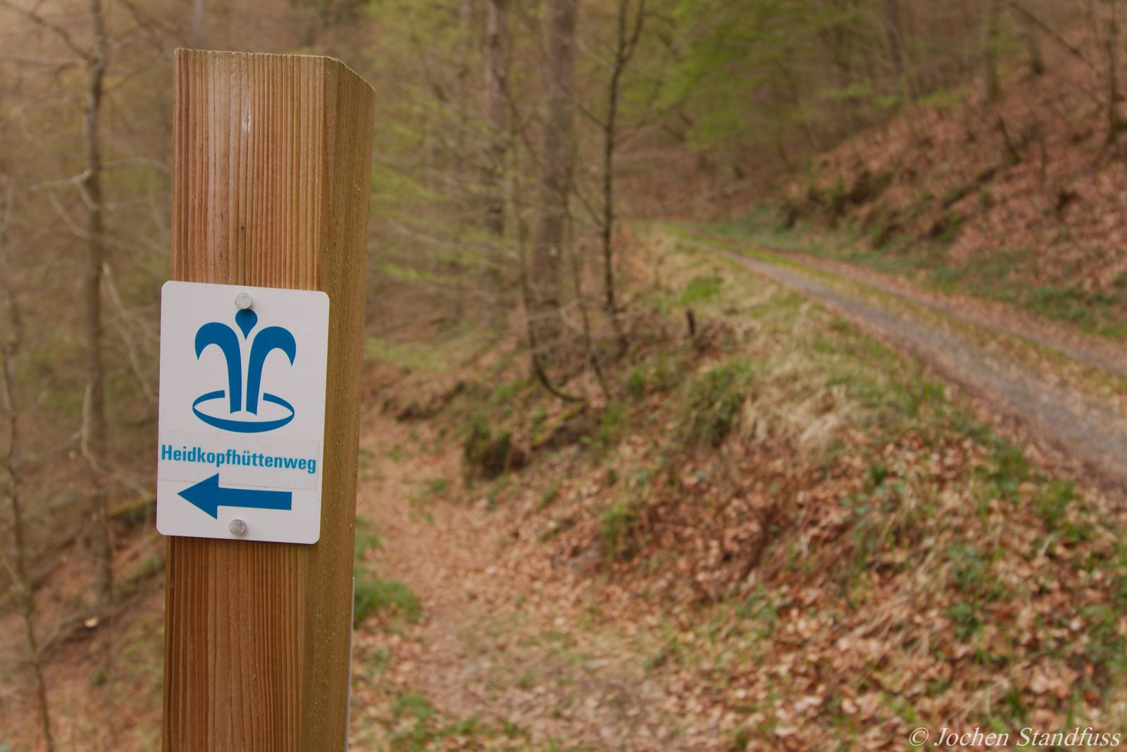 Blau-weißes Wegzeichen mit Quellbrunnen, Heidkopfhüttenweg Dausenau