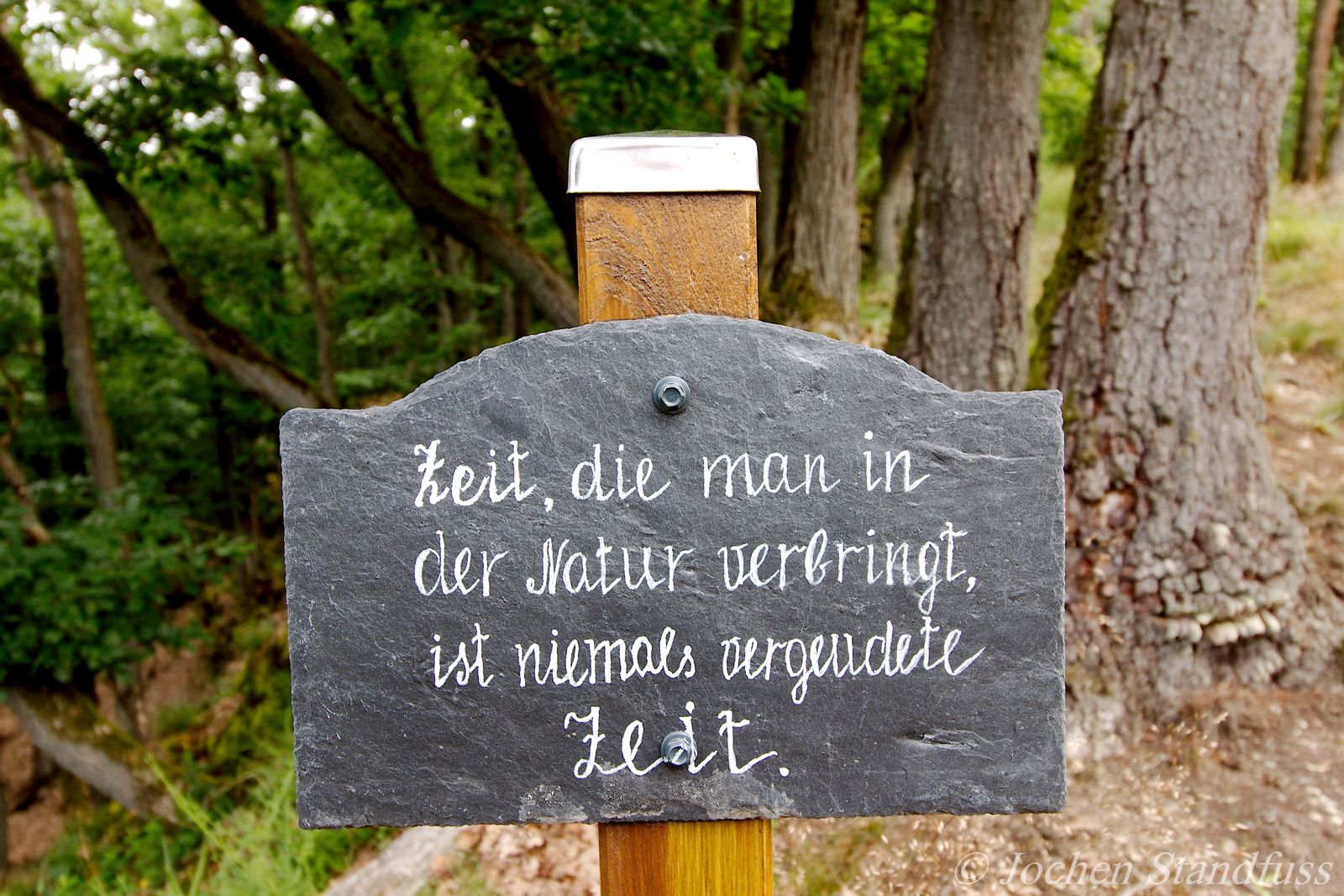 Schieferschild am Herrnlei-Steig: Zeit, die man in der Natur verbringt, ist niemals vergeudete Zeit
