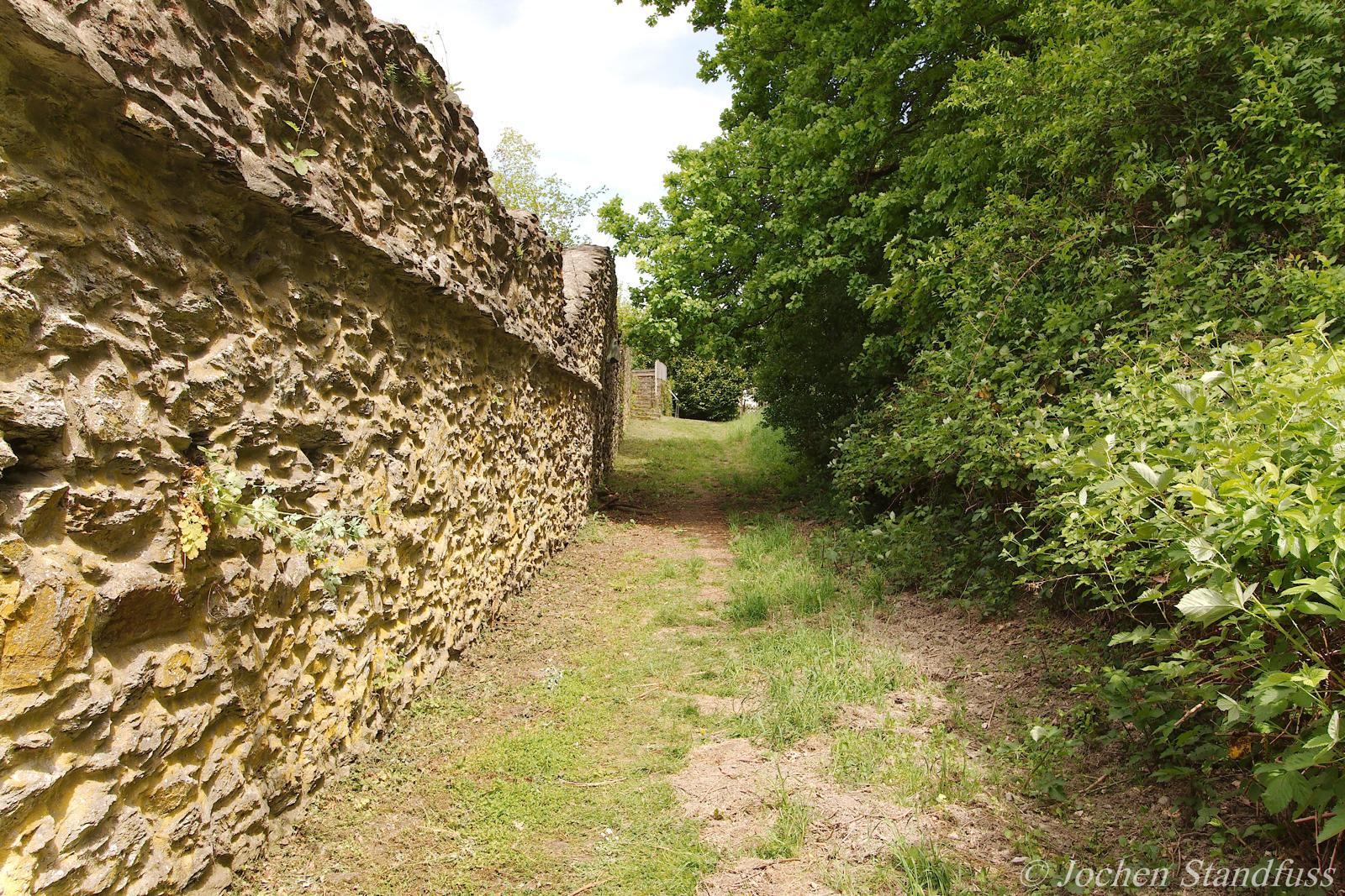 Schmaler Pfad entlang der alten Stadtmauer von Dausenau